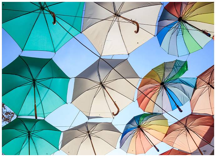 Needs Umbrella Insurance